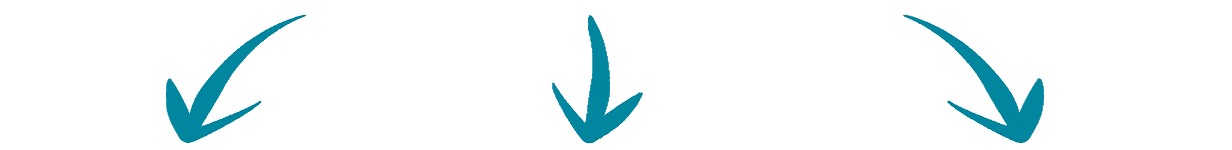 ons aanbod zeeaquarium benodigdheden